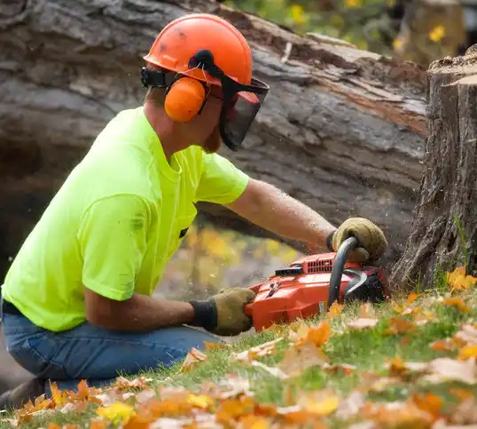 tree services Ventress